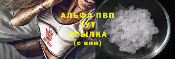 стаф Абинск