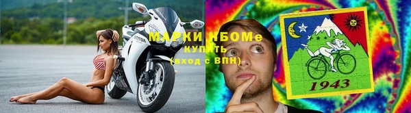 стаф Абинск