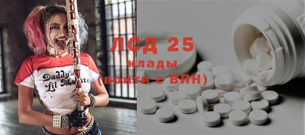 стаф Абинск