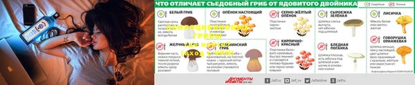 героин Абаза