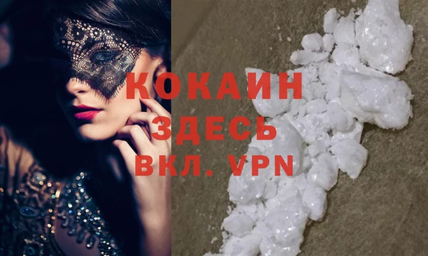 стаф Абинск