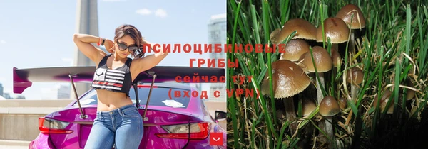 стаф Абинск