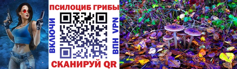 даркнет телеграм Краснокамск Галлюциногенные грибы GOLDEN TEACHER